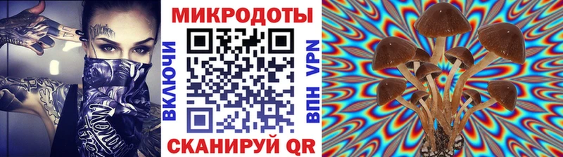 где найти наркотики  Осинники  Псилоцибиновые грибы Cubensis 